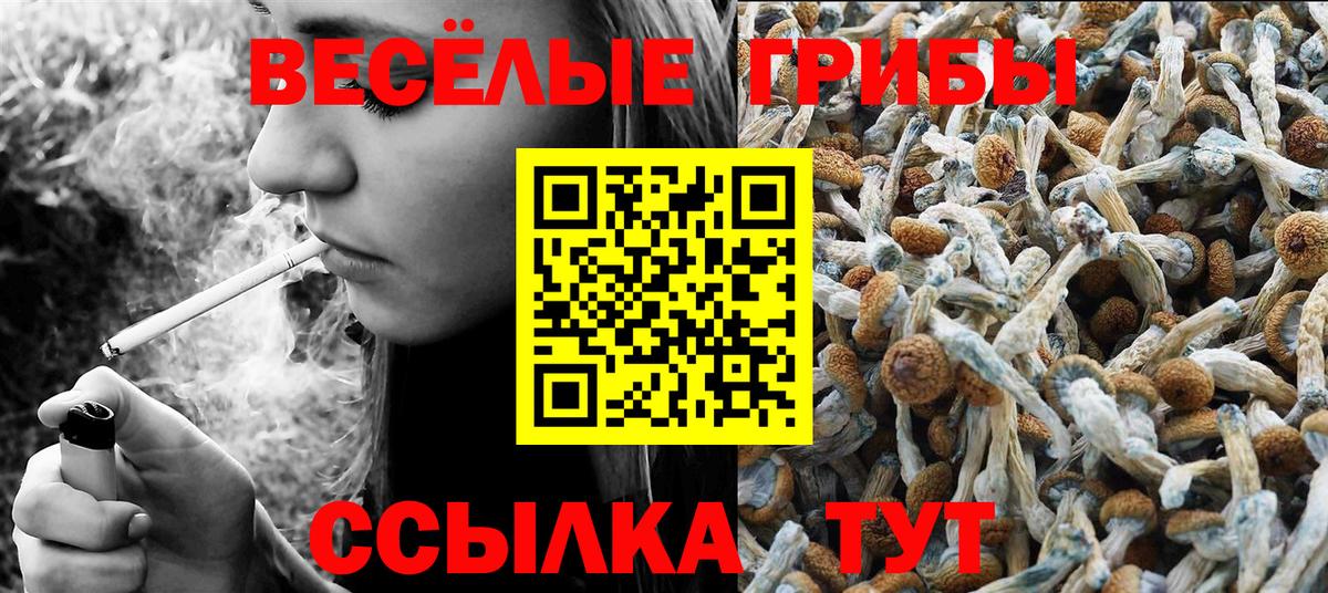 Псилоцибиновые грибы прущие грибы Ржев