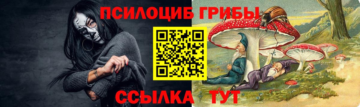 Псилоцибиновые грибы мицелий  Вход с VPN  Ржев 